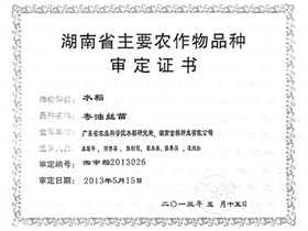 粤油丝苗审定证书
