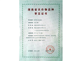 湖南省农作物品种审定证书