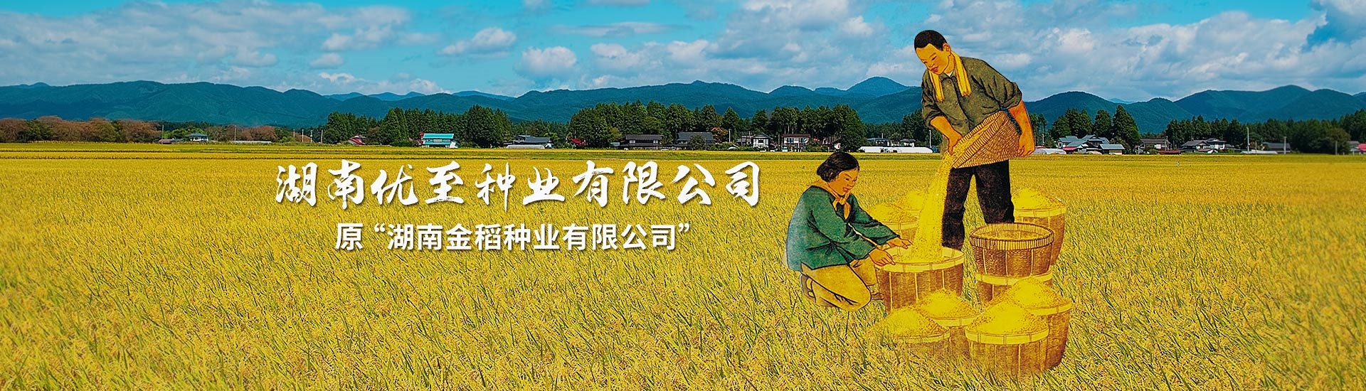 原“湖南金稻种业有限公司”更名为“湖南优至种业有限公司”